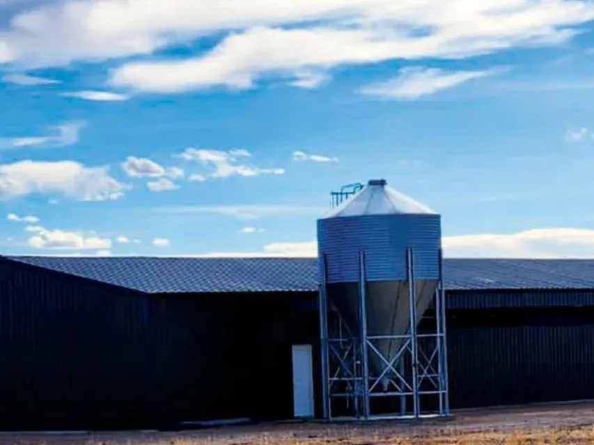 Caseta avícola con silo de alimento